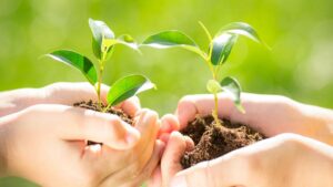 Agence de communication événementielle RSE image