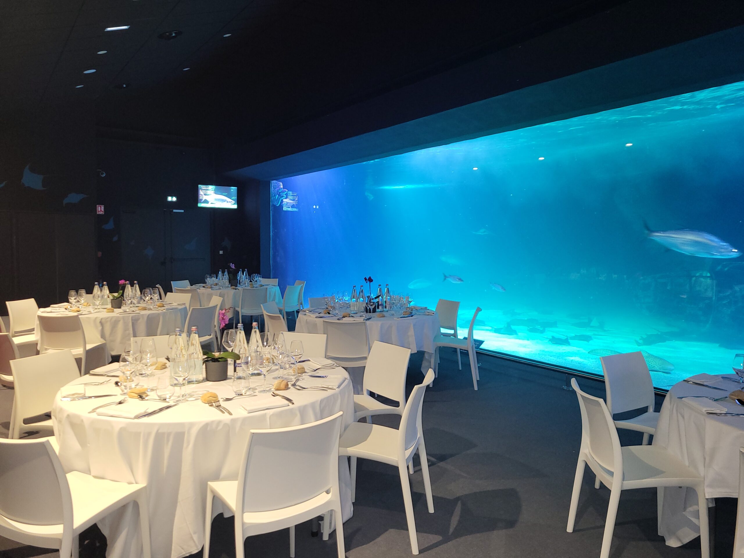 séminaire professionnel - La Baule - Image