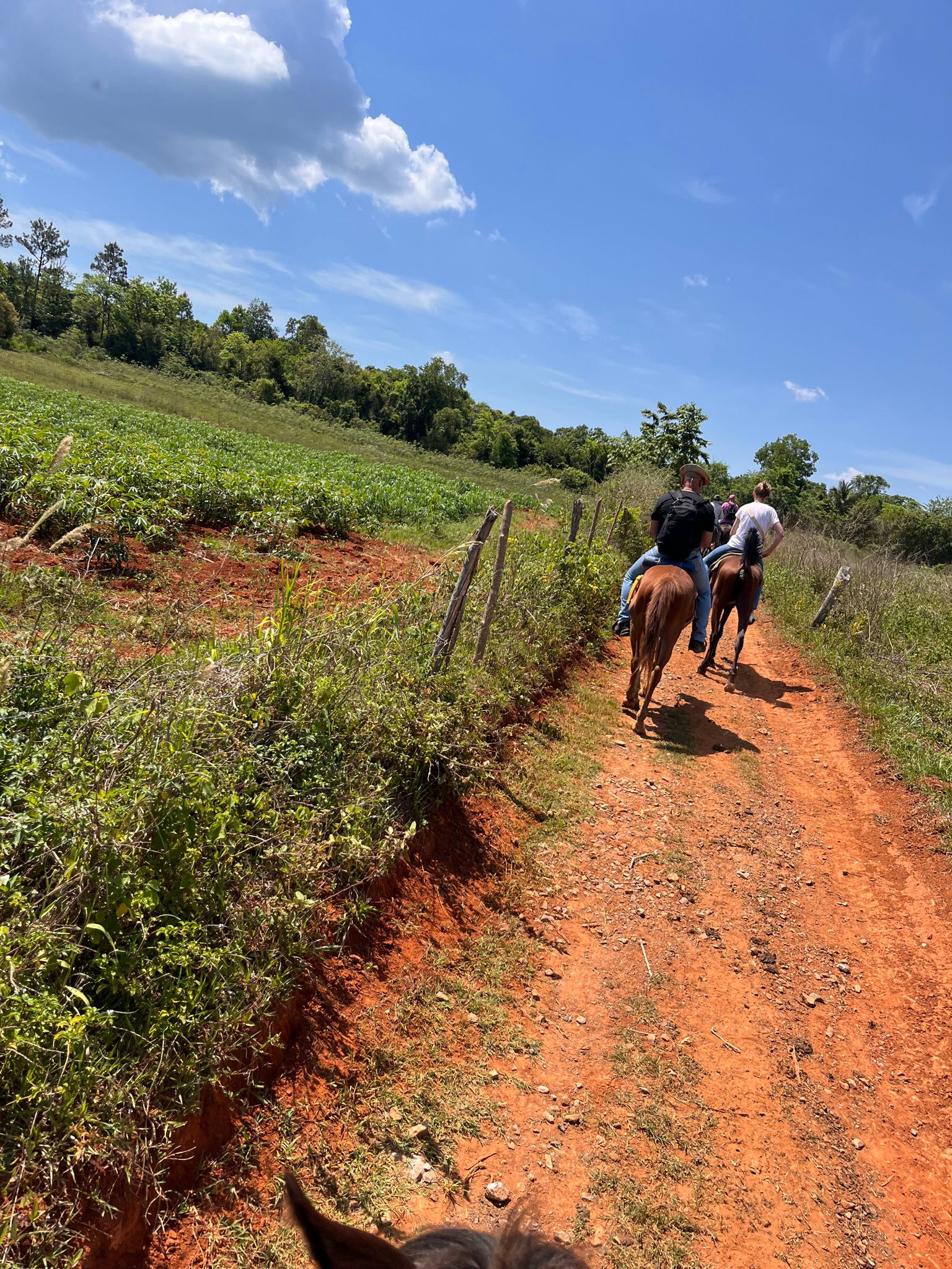 challenge commercial Cuba image