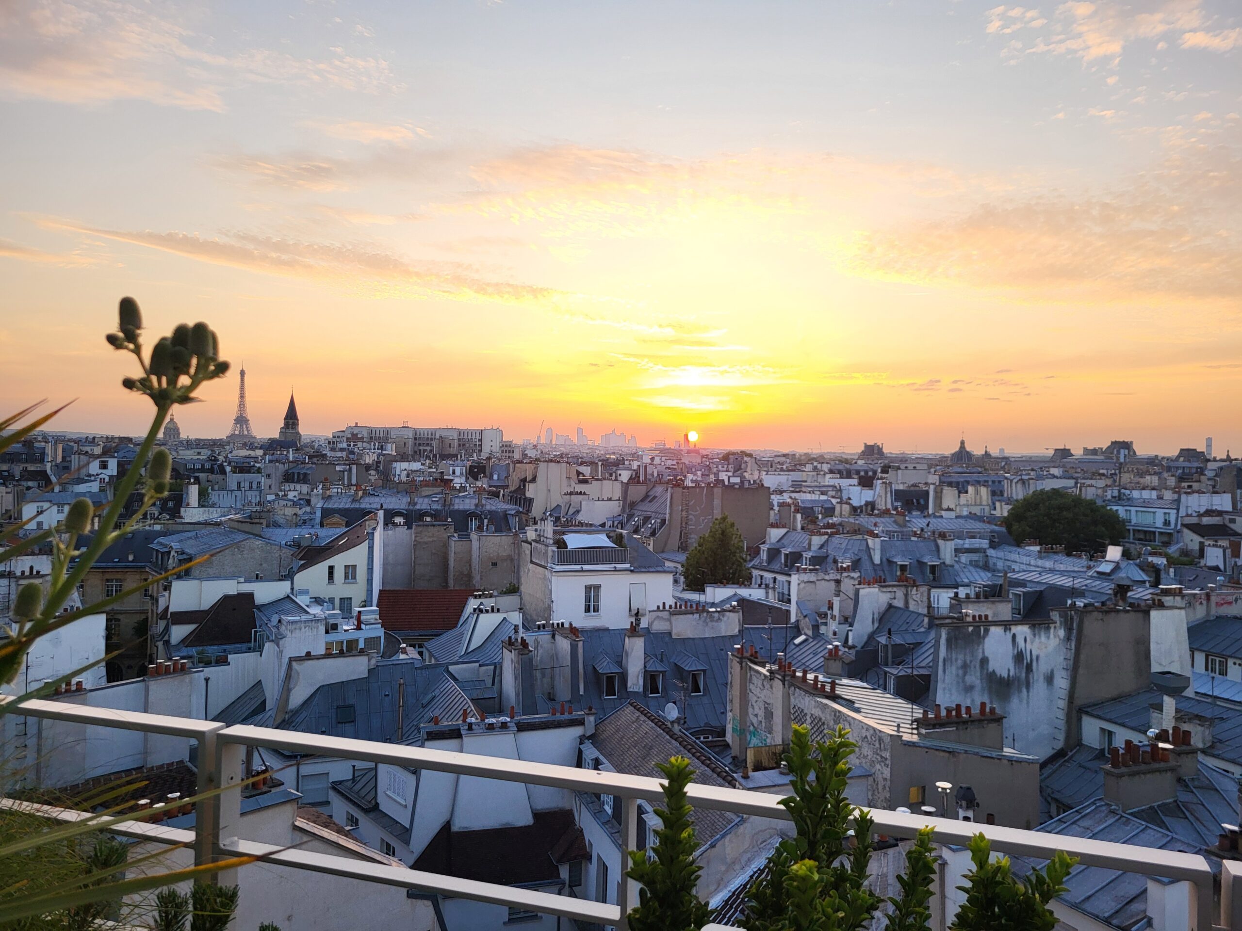 événement paris notre dame image